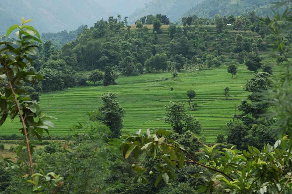 108 - Nepal - panoramica